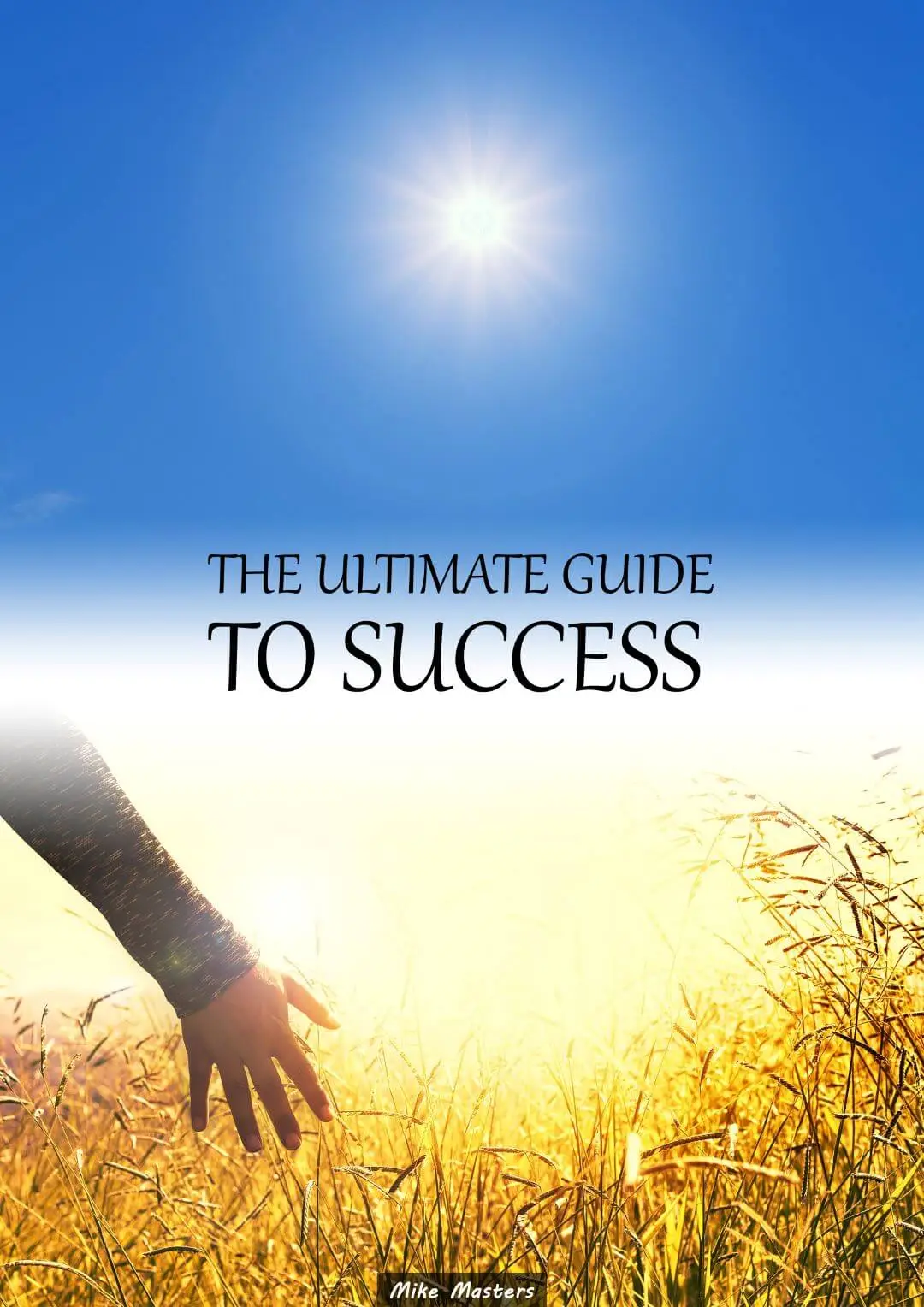 The Ultimate Guide to Success, by Mike Masters